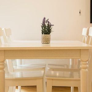 Rental In Rome Trastevere Atmosphere